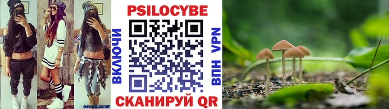 кракен ТОР  Бавлы  Псилоцибиновые грибы Psilocybine cubensis 
